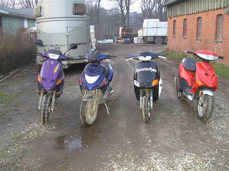 CPI Oliver City SOLGT - mine scooter undtagen den røde, det er min lillesøs billede 5