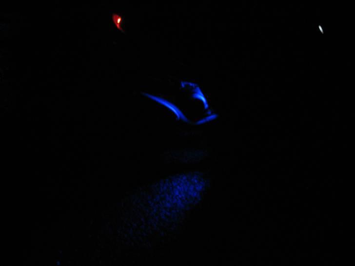 Gilera Stalker Solgt billede 9