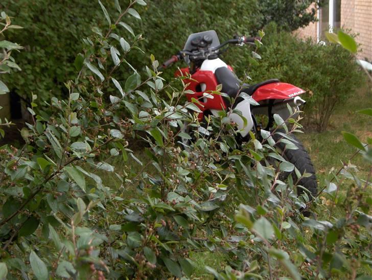 Suzuki smx<3 9850 hirtshals billede 3