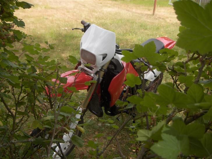 Suzuki smx<3 9850 hirtshals billede 4