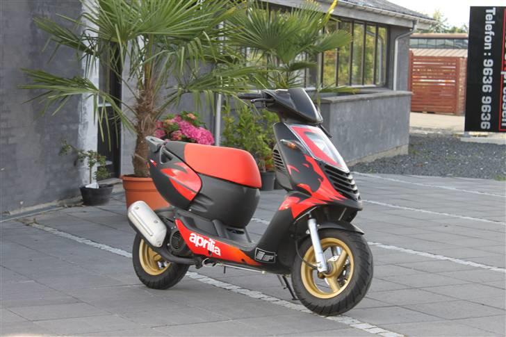 Aprilia sonic AC GP Replica billede 9