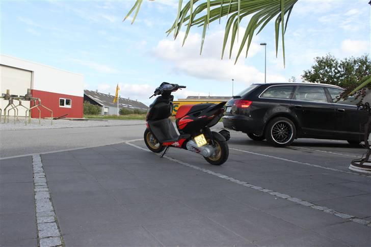 Aprilia sonic AC GP Replica billede 11