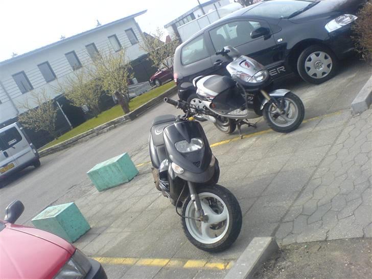 Gilera Stalker "Chanel" (Solgt) - Mig og TP .. billede 5