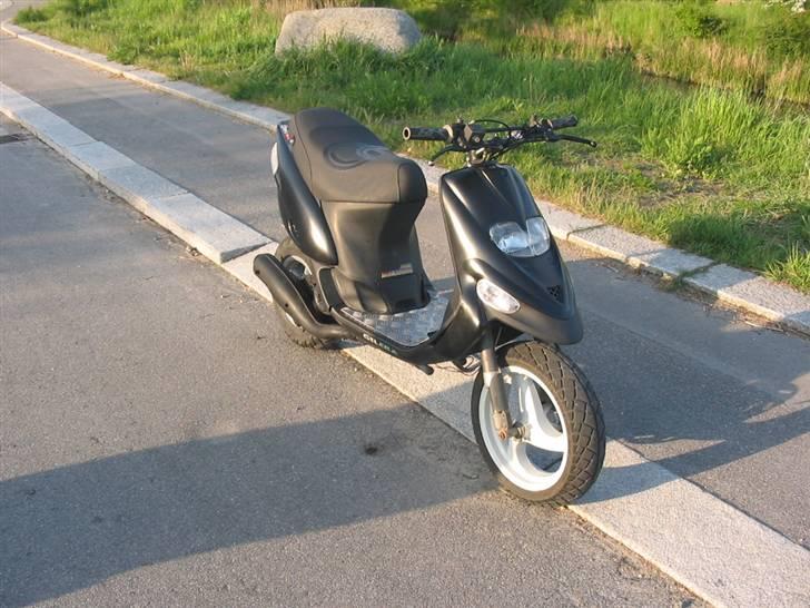 Gilera Stalker "Chanel" (Solgt) - Hun bider pas på!! billede 6