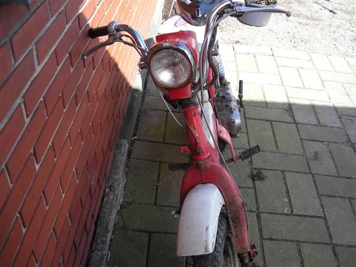 Suzuki Fz 50 (SOGLT ) - foran igen billede 5