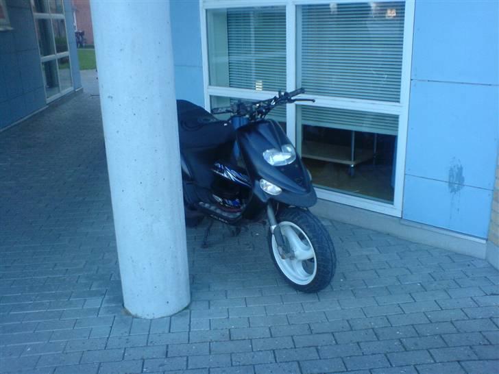 Gilera Stalker "Chanel" (Solgt) billede 18