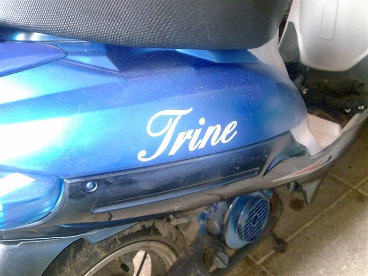 Giantco Giantco Sport Sprint billede 8