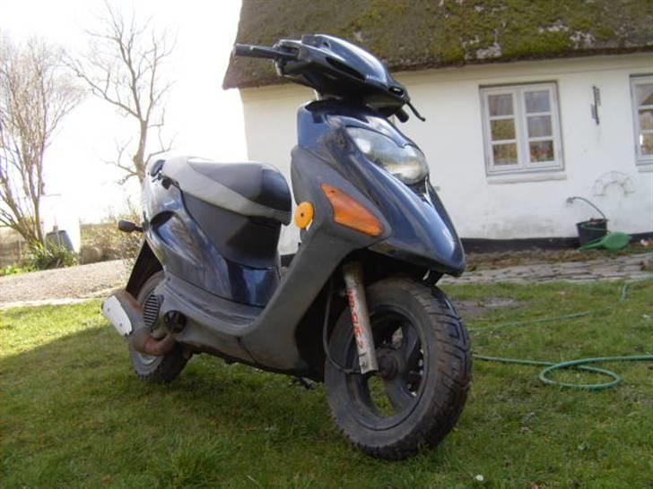 Honda SFX - Før Projekt ! billede 1