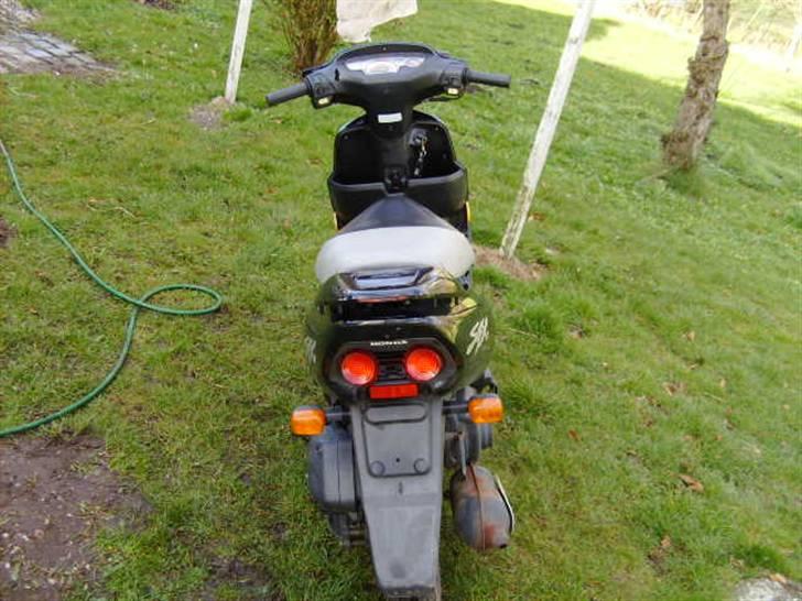 Honda SFX - Før Projekt ! billede 5