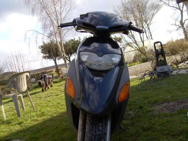 Honda SFX - Før Projekt ! billede 9