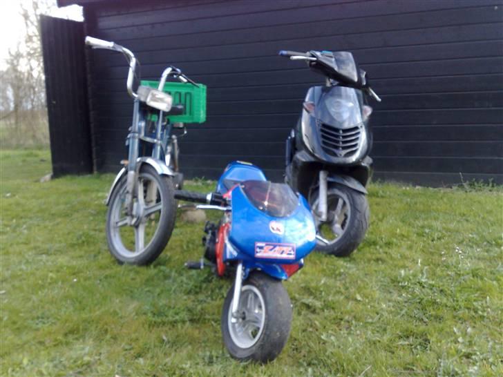 MiniBike Pocketbike 50ccm. - de 3 konger:P billede 4