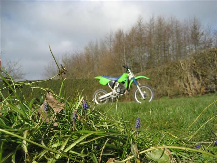 Kawasaki kx 80 ccm. (SOLGT) billede 14