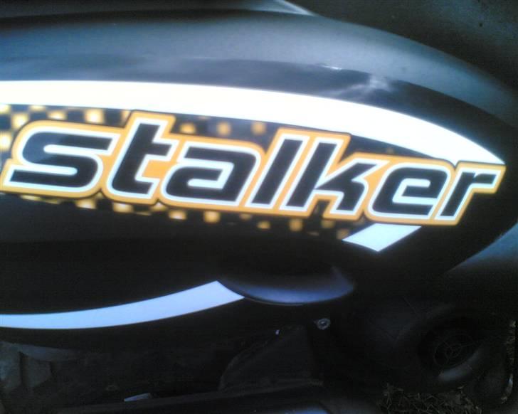 Gilera stalker - må sku sige det er kvalitet billede 1