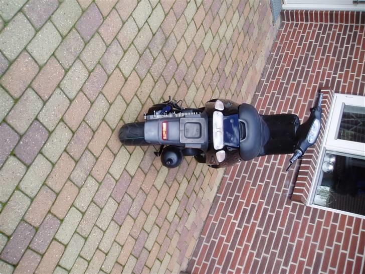 Piaggio Typhoon - Færdig efter en vinter-renovering (-: billede 11