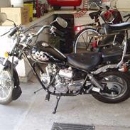 Regal raptor (solgt)