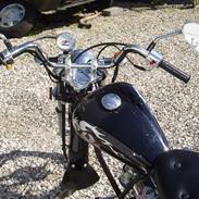 Regal raptor (solgt)