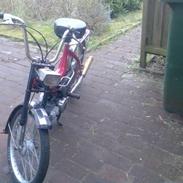 Puch maxi k   ( SOLGT )