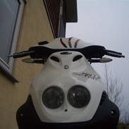 PGO PMX sport "no fear"