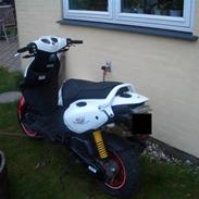 PGO PMX sport "no fear"