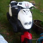 PGO PMX sport "no fear"