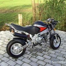 Skyteam pbr byttet til estilete