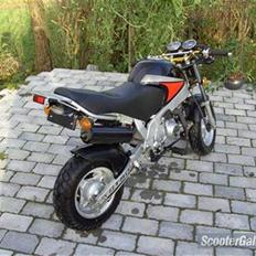 Skyteam pbr byttet til estilete