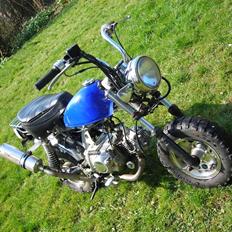 Skyteam Monkey (Solgt!)