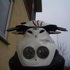 PGO PMX sport "no fear"