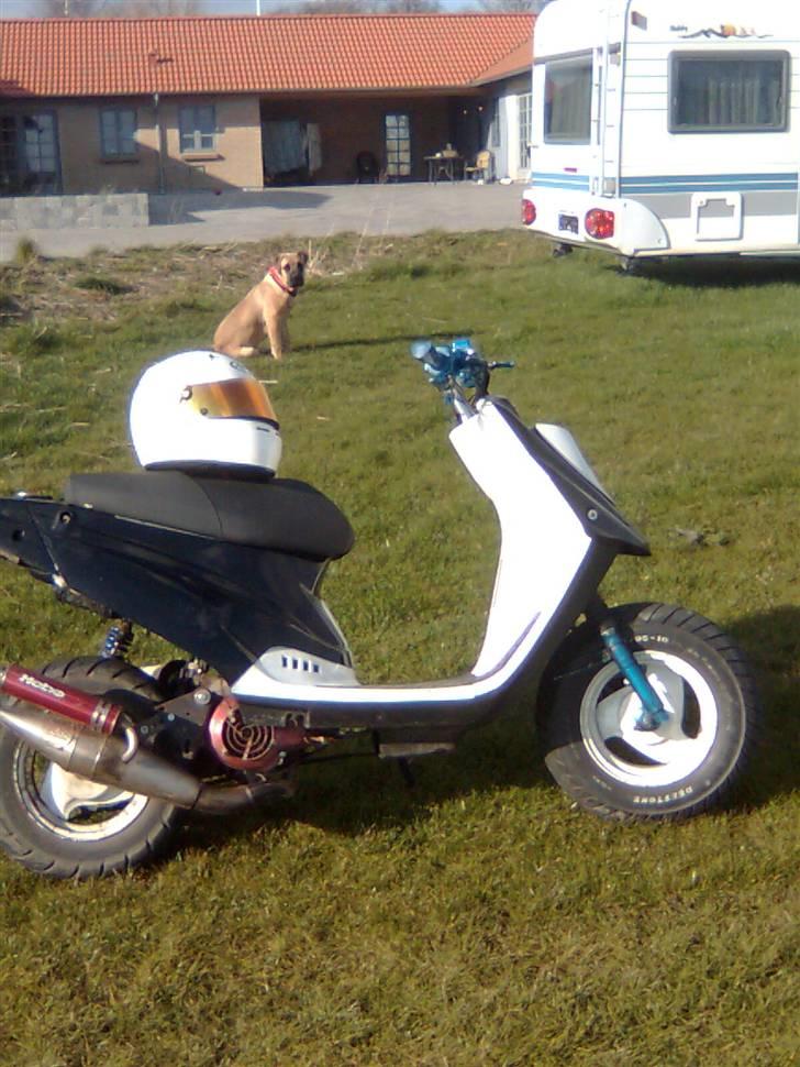 PGO hot 50 - SOLGT - billede 5