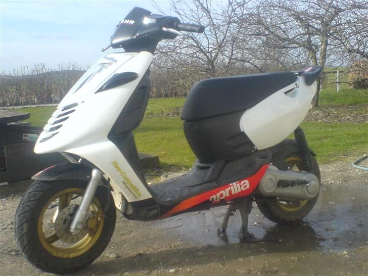Aprilia Sonic billede 1
