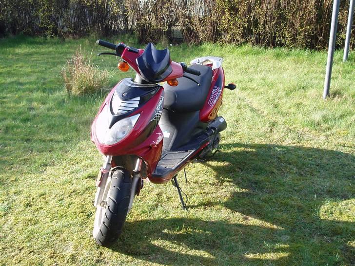 Texas chilli - lorte 4 taker billede 2