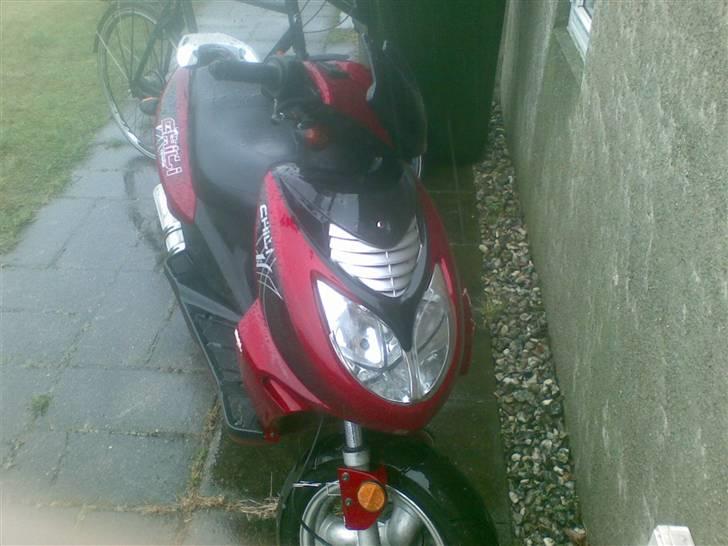 Texas chilli - lorte 4 taker billede 3