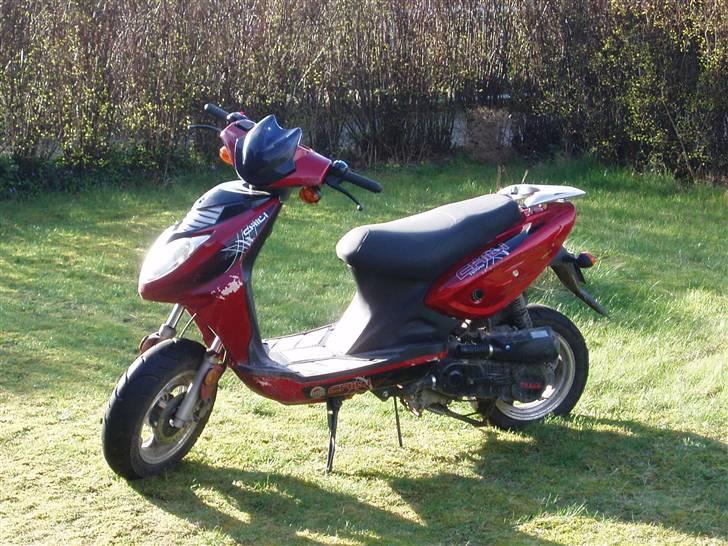 Texas chilli - lorte 4 taker billede 4