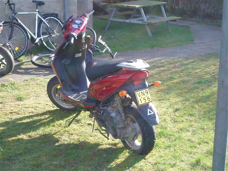 Texas chilli - lorte 4 taker billede 5