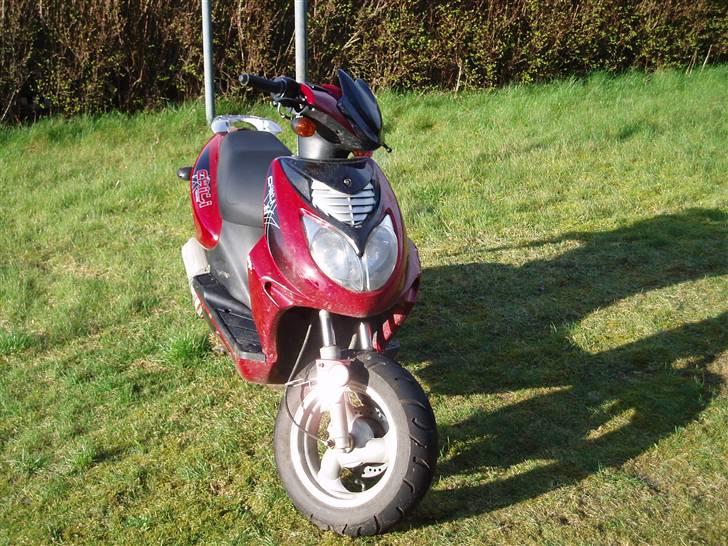 Texas chilli - lorte 4 taker billede 8