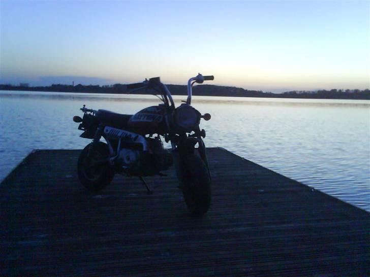 Skyteam monkey før billede 15