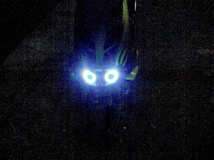 Aprilia sr 50 ditech solgt 30er - nice:) billede 15