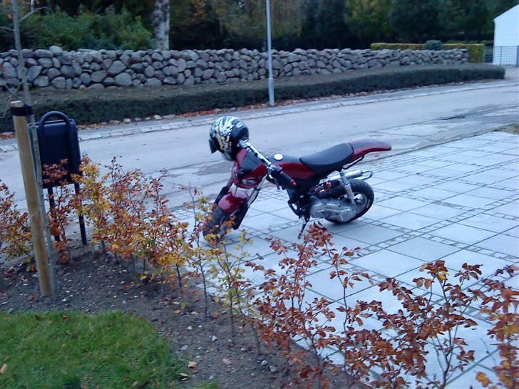 Suzuki Street Magic **Solgt** billede 5