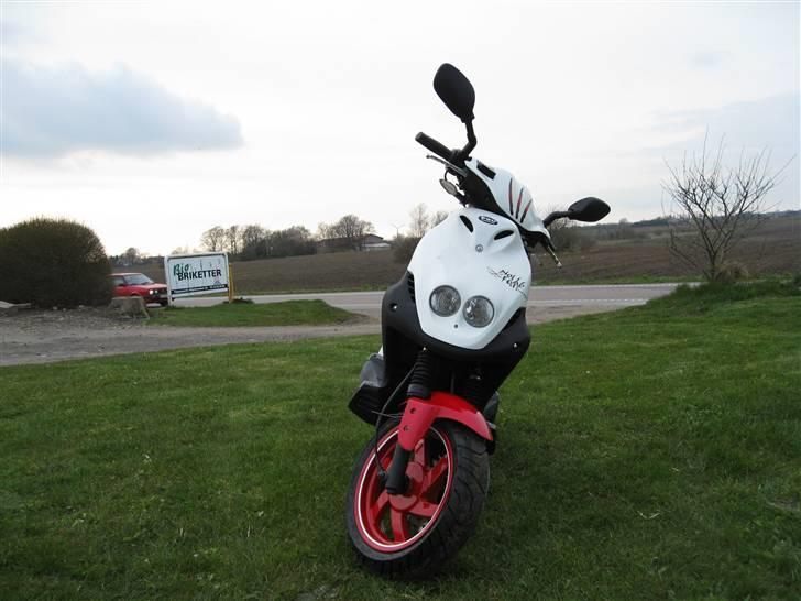 PGO pmx sport no fear billede 9