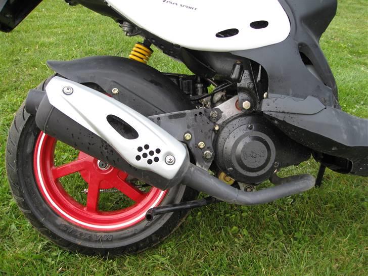 PGO pmx sport no fear billede 11