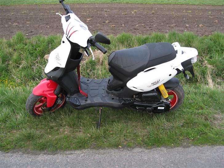 PGO pmx sport no fear billede 15