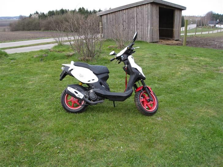 PGO pmx sport no fear billede 16