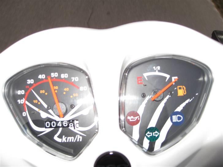 PGO pmx sport no fear billede 17