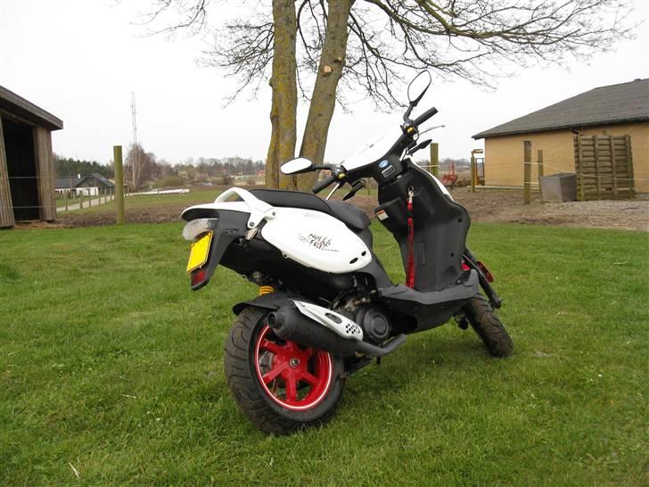 PGO pmx sport no fear billede 19