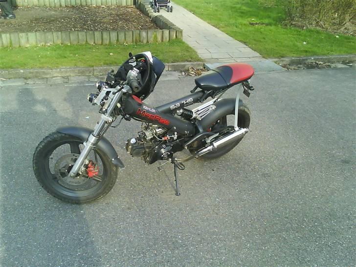 Sachs madass solgt den 29 juli  - madass hjemme på pladsen  billede 8