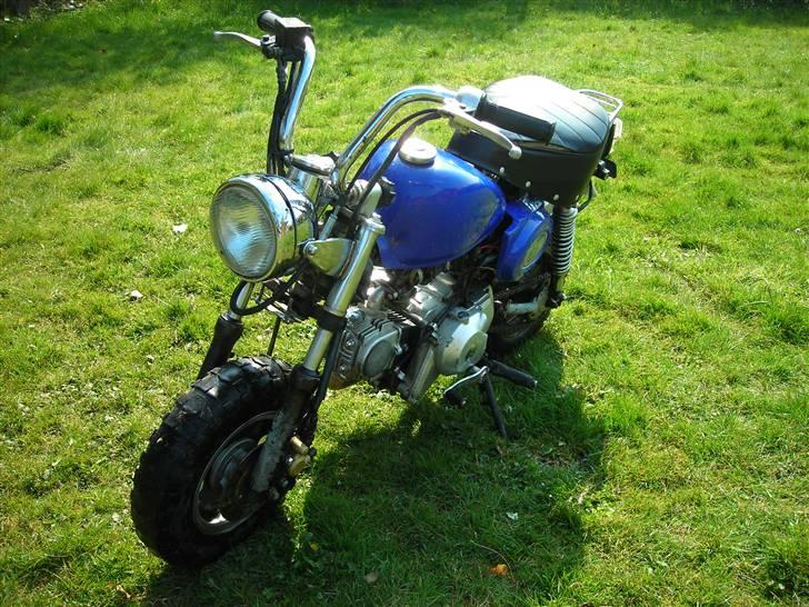 Skyteam Monkey (Solgt!) billede 2