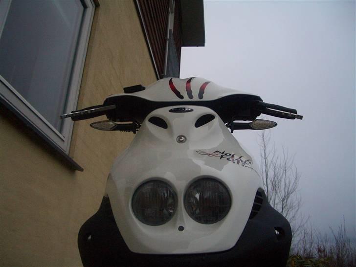 PGO PMX sport "no fear" billede 1