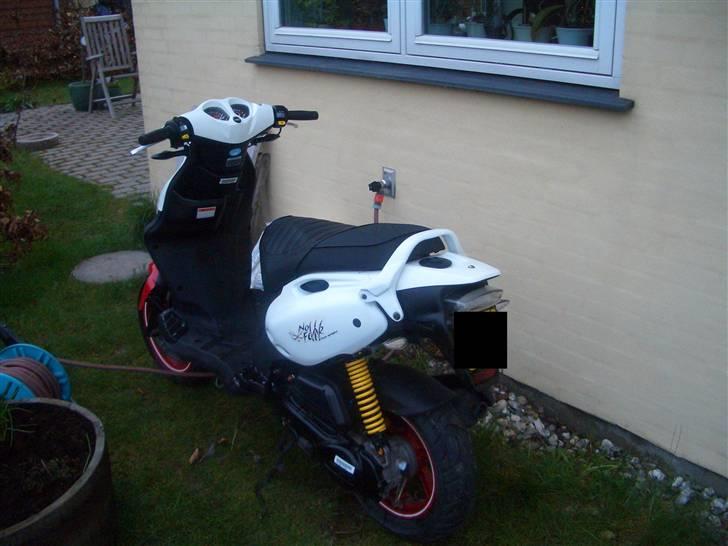 PGO PMX sport "no fear" billede 2