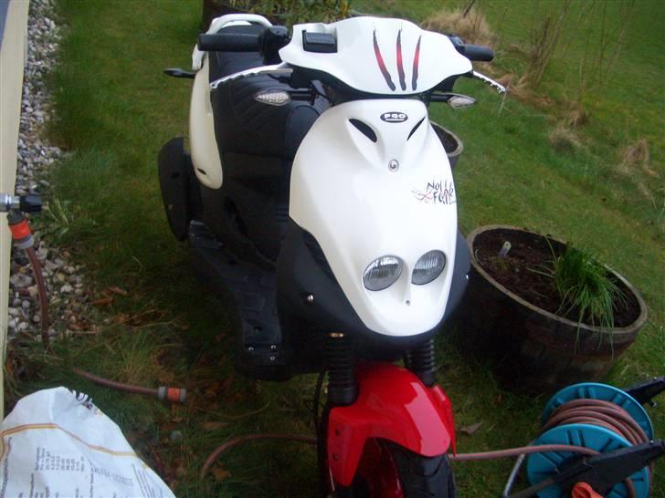 PGO PMX sport "no fear" billede 3