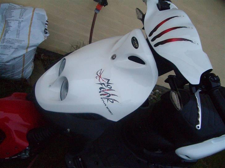 PGO PMX sport "no fear" billede 4